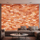 Himalayan Pink Salt Tiles 8" x 8" x 1" – Pack of 24