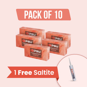 Himalayan Salt Bricks 8" x 4" x 2" Pack of 10  With Free Saltite